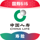 露娜连招基础